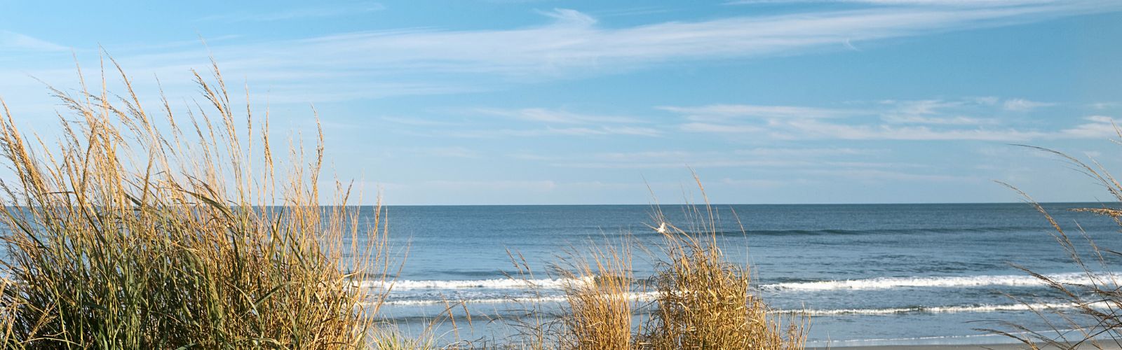 Downbeach Communities