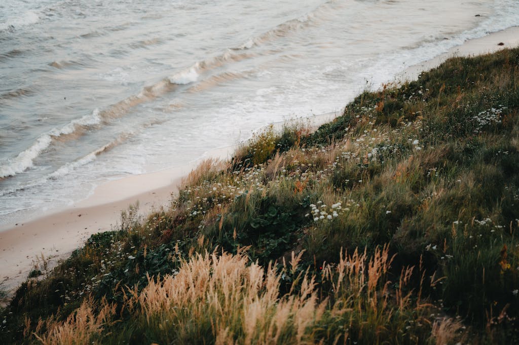 A grassy hill with a beach and ocean in the background